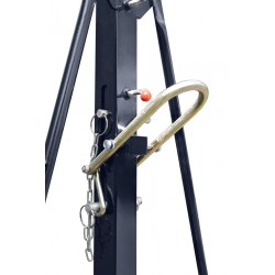 Gru a cavalletto 2t Caricatore 2000kg PK2 - 