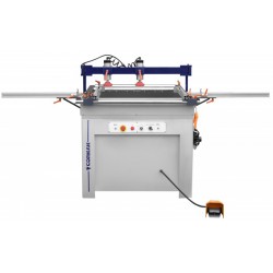 MZS21X1 Multi-spindle Drilling Machine - 