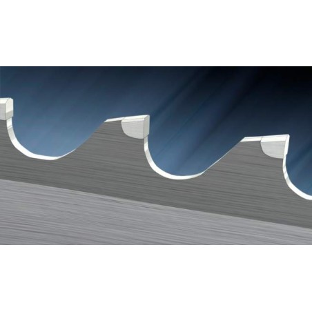 Lama a nastro con denti in metallo duro RÖNTGEN HM-Titan B0 forteC - Piła taśmowa z ostrzami z węglików spiekanych HM-Titan B0 forteC 