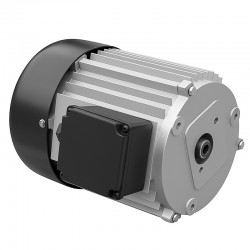 Elektromotor 230V 3kW für Holzspalter - 