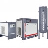Groupe compresseur THEOR 30 avec inverter + déshumidificateur IZBERG N30S + cylindre vertical 500L