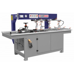 MZ21X2 multi-spindle drilling machine - Multiple-spindle drilling machine MZ21X2